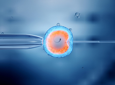 Tỉ lệ thực hiện IVF thành công tại Trung tâm Hỗ trợ sinh sản 2020